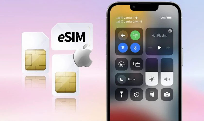 eSIM iPhone 14 Pro Max