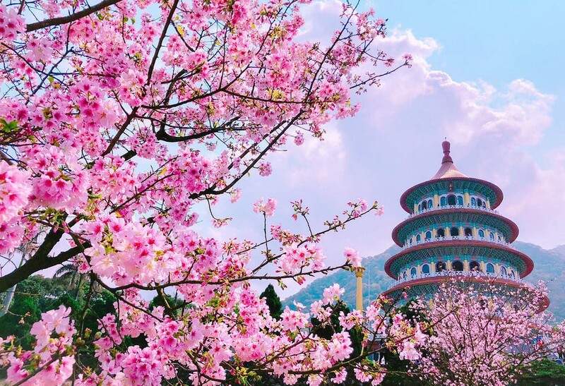 Du lịch Đài Loan mùa nào đẹp nhất?