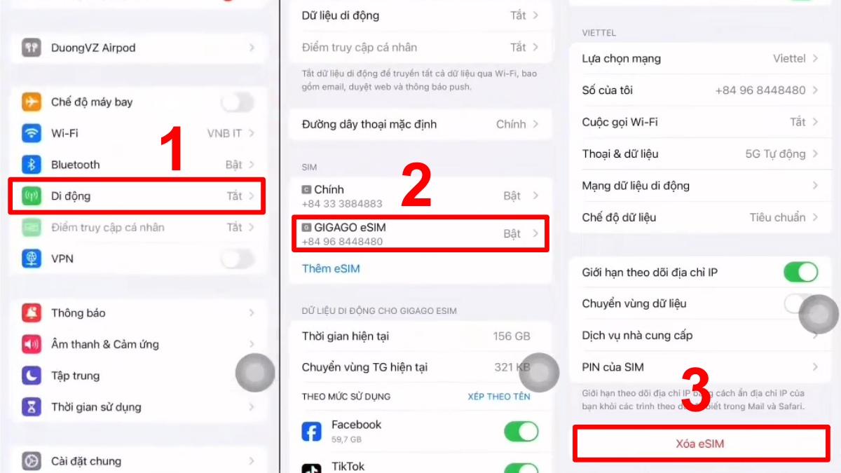 Cách xoá eSIM 12 Pro Max